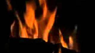 Sarl Bodler - Nakit