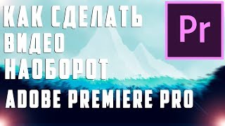 Как сделать видео наоборот (инверсия)  Adobe Premiere Pro CC