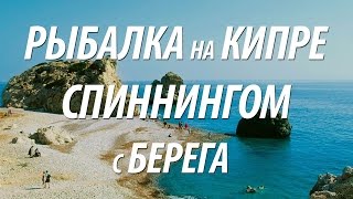 РЫБАЛКА НА МОРЕ С БЕРЕГА СПИННИНГОМ. МОРСКАЯ ЛОВЛЯ РЫБЫ НА КИПРЕ
