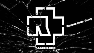 Rammstein - Schwarzes Glas (Instrumental cover)