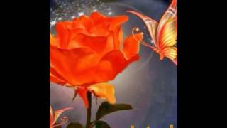Feliz dia  del amor y  amistad  para mi familia y amigo
