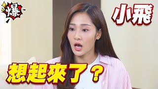 《多情大爆爆》多情城市 EP206 小飛想起來了？