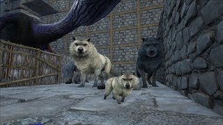 ARK Survival Evolved singleplayer #32 patsch220 Dire Wolf Welpen geburt Deutsch 1080p Full HD