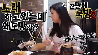 도예븐♥부엌때기 맥주한캔에 취에서노래부르다 강아지들도망감