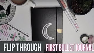 My First Bullet Journal Flip Through ?️