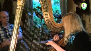 Harpconcert in de Fantasietuin 't loo oldebroek
