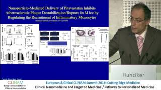 Introduction to the State of the Art and Point of Start for Nanomedical Help