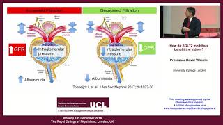 Professor David Wheeler - 'How do SGLT2 inhibitors benefit the kidney?'