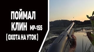 Охота на уток .  поймал клин ( мр 155 )