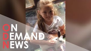 Man Arrested on Suspicion of Murder of Little Girl in Liverpool