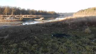 Fischfallen vor Laimbach 24.12.2015 DSCN2971