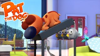 Pat the Dog - Best of the Chicken 1