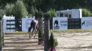 JB, my Standardbred, jumping 90 cm course 7/1/10