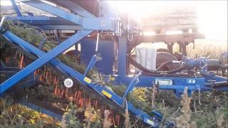 Агродирект представляет Asa-Lift- морковоуброчный комбайн  T 100 DF
