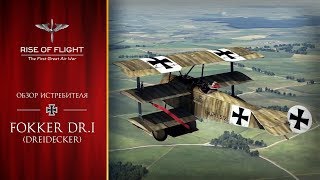Rise of Flight. Fokker Dr.I. Обзор самолёта