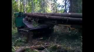 Жесть в лесу , ТДТ-55