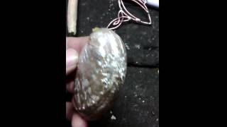 Nacre Abalone de France ( Ormeaux )