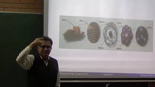 Desde el Inicio de la Teoría Cuántica hasta el Bosón  de Higgs | Dr. Orlando Luis  Pereyra Ravinez