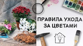 Правила ухода за цветами [Идеи для жизни]