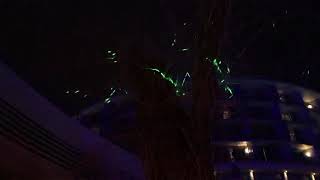 calista luxury resort