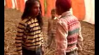 amrik vrs roda fight