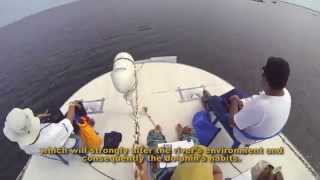 WWF River Dolphin Expedition 2014