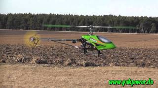T-Rex 600 - Schwebeflug