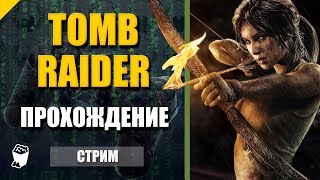 Tomb Raider 2013. Стрим прохождение №2. Гробница путешественника. Обитатели острова.