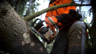 Бензопила Husqvarna в работе