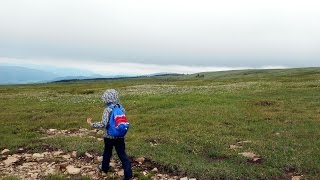 Семинский перевал.Дошли до облаков.Reached the clouds.