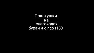 Покатушки на снегоходах буран и dingo t150