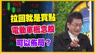 【#財經週末趴 獨家精華版】拉回就是買點 電動車概念股 可以佈局？ 2024.03.02 @FTV_Forum​