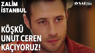 Cenk ve Ceren'in Gelecek Planı, KAÇACAĞIZ BURADAN! | Zalim İstanbul 16. Bölüm
