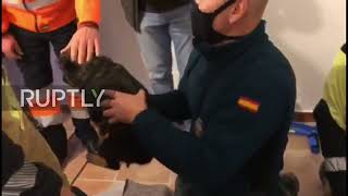 Spain: Puppy freed by Guardia Civil after becoming trapped in pipe