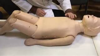 Percussion of Liver (LADA)