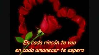 FELIZ SAN VALENTIN ZINGARA AMORE MIO