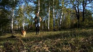 переодевания в женские вещи и не более, cross dressing in women's clothes