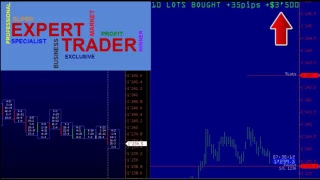 Курс Трейдинга от Expert Trader. Бесплатные уроки для начинающих трейдеров.