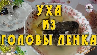 Уха из головы. Как сварить уху из головы ленка, форели, хариуса или лосося. Petr de Cril'on