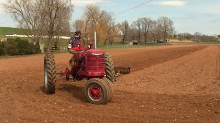 Spring Tooth Harrowing/ 1943 Farmall H.