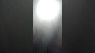 Video bokep