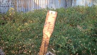 Рамка в улье,что это такое?