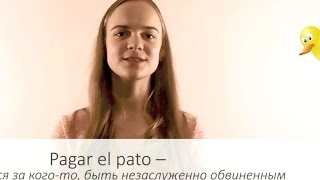 Frases con animales — Идиомы с животными — Уроки испанского