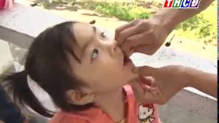Thời sự thứ tư ngày 5/02/2020
