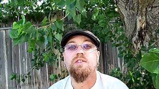 [7.13] Does being Male or Female Immediately = God or Goddess Worship?