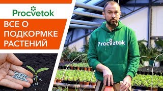 Для хорошего роста и вкусных плодов! Все о правильной подкормке растений