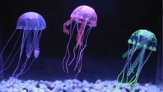 Четыре посылки из Китая с сайта АлиЭкспресс Новая распаковка 2017