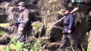 Оружие войны. Лейбштандарт / Weapons of War. Leibstandarte