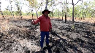 How to conduct a cool burn - Cool Burning