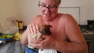 Granny gets wet giving chicha a bath